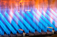 Fernwood gas fired boilers